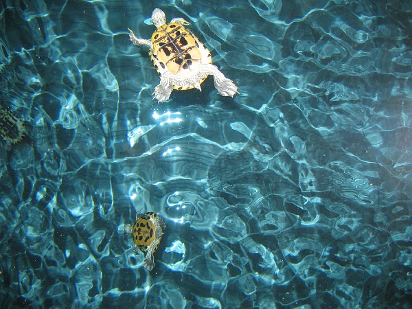 first family vacation-june 026.jpg